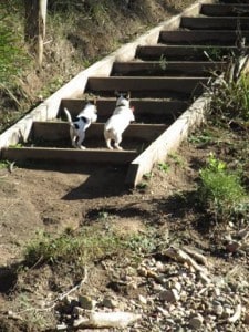 image040