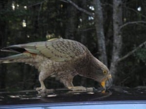 image092
