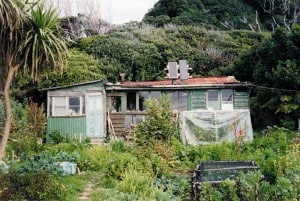 the_long_family_s_home_in_remote_south_westland_it_4c08bc9b9e