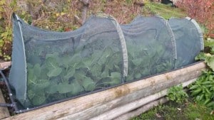 2015-05-29 11.18.56 comp