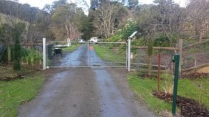 2015-07-16 15.39.42 comp