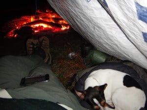 Nothing beats a warm fire and a good book - in this case 'the Adventures of Sherlock Holmes'.