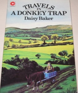 Donkey Cart