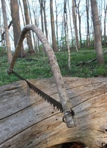 bow-saw-in-log