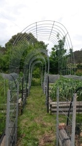 2015-11-14 13.59.02 comp