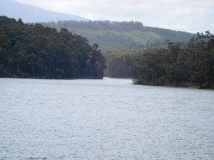 DSCN0593