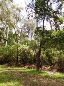 DSCN0602