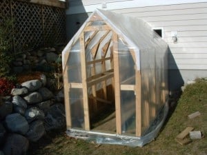 diy greenhouse
