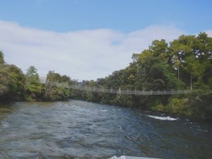 12974471_967258466676196_1922253017339783921_n