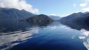 12991063_967258350009541_5293604493735055687_n