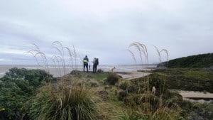 13000292_967782766623766_1732424352995670186_n