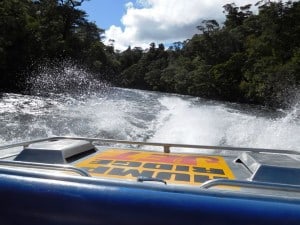 13015366_967258476676195_3174752164262505913_n