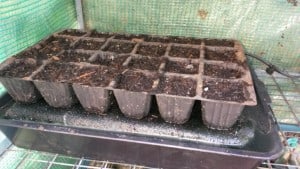 2016-04-20 08.23.41 comp