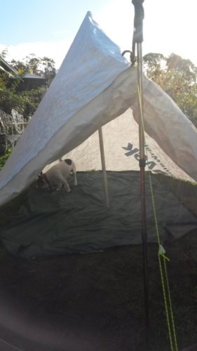 2016-05-28 14.48.27 comp