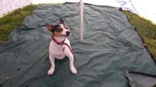 2016-05-28 14.50.09 comp