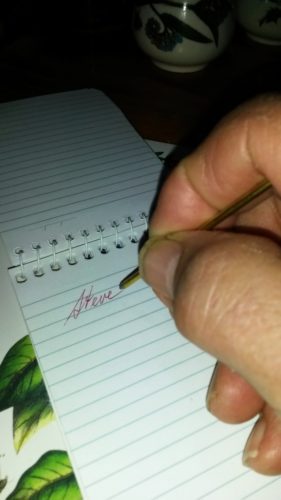 2016-06-15 22.09.31 comp