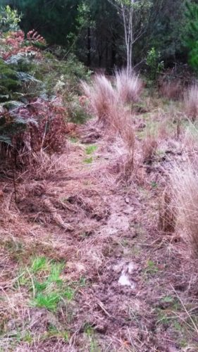 2016-06-21 16.23.57 comp