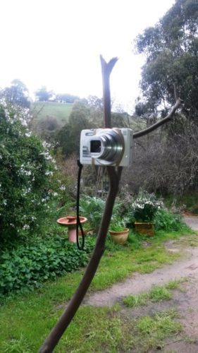 2016-08-03 11.41.39 comp