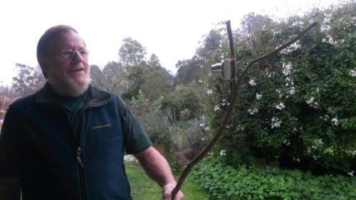 2016-08-03 11.41.51 comp