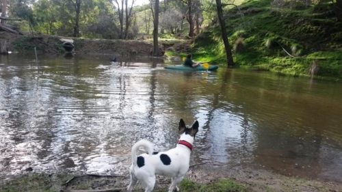 2016-08-09 15.16.30 comp