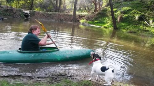 2016-08-09 15.22.42 comp