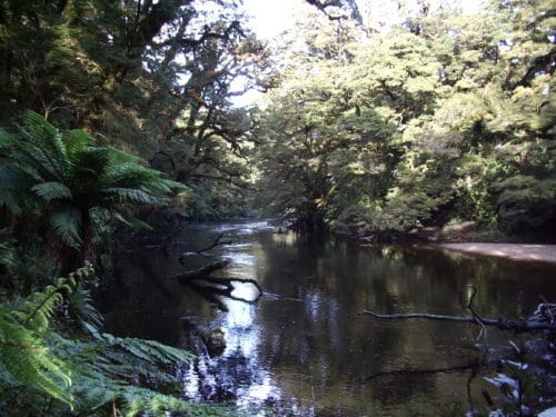 Fiordland NZ 2006 (46)