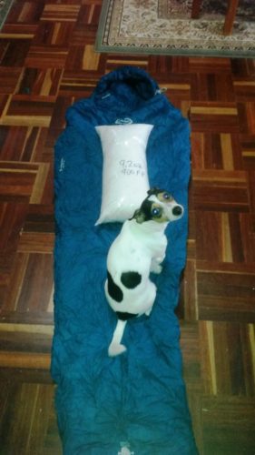 2016-10-16-09-18-06-comp