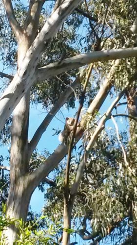 2016-10-24-16-50-55-comp