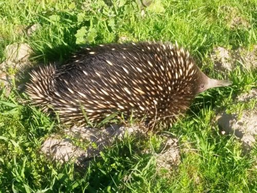 20160925_164744-comp