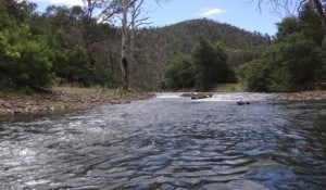 They say water finds its own level, but sometimes it does so in unexpected ways...