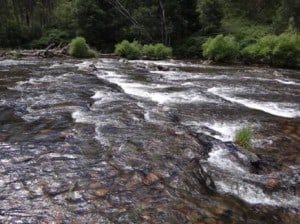 Below Burgoynes.
