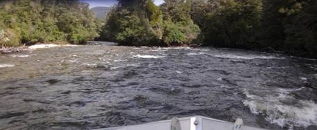 Jetboating: Wairaurahiri River