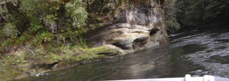 Jetboating: Wairaurahiri River