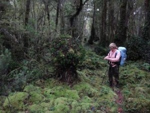 Frequent stops to photograph interesting moss might have slowed us down too!