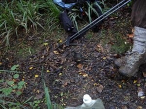 NZ birds are very friendly: this guy wanted to share our lunch (both ways)!