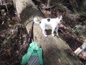 Spot's hunting equipment