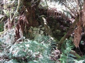 The boiler site included many dry stone walls