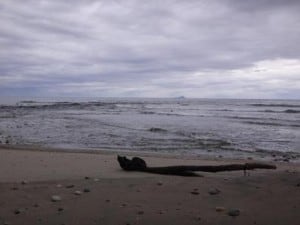 Waitutu River: View out to sea: the Solander Islands.