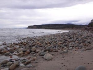 Waitutu River: View West towards Price's Harbour and Westies Hut.