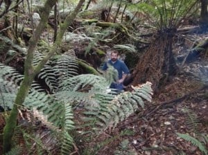 The boiler is situated in a beautiful fern gully...