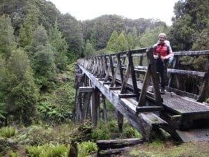 Edwin Burn Trestle Bridge.