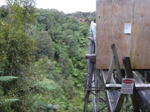 Percy Burn trestle and hut; you can even get a hot shower here!