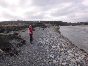 Wairaurahiri River mouth looking upstream