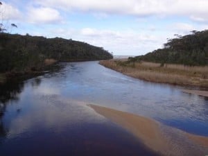 Thurra River Mouth