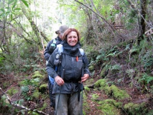 Dreaming of Hobart