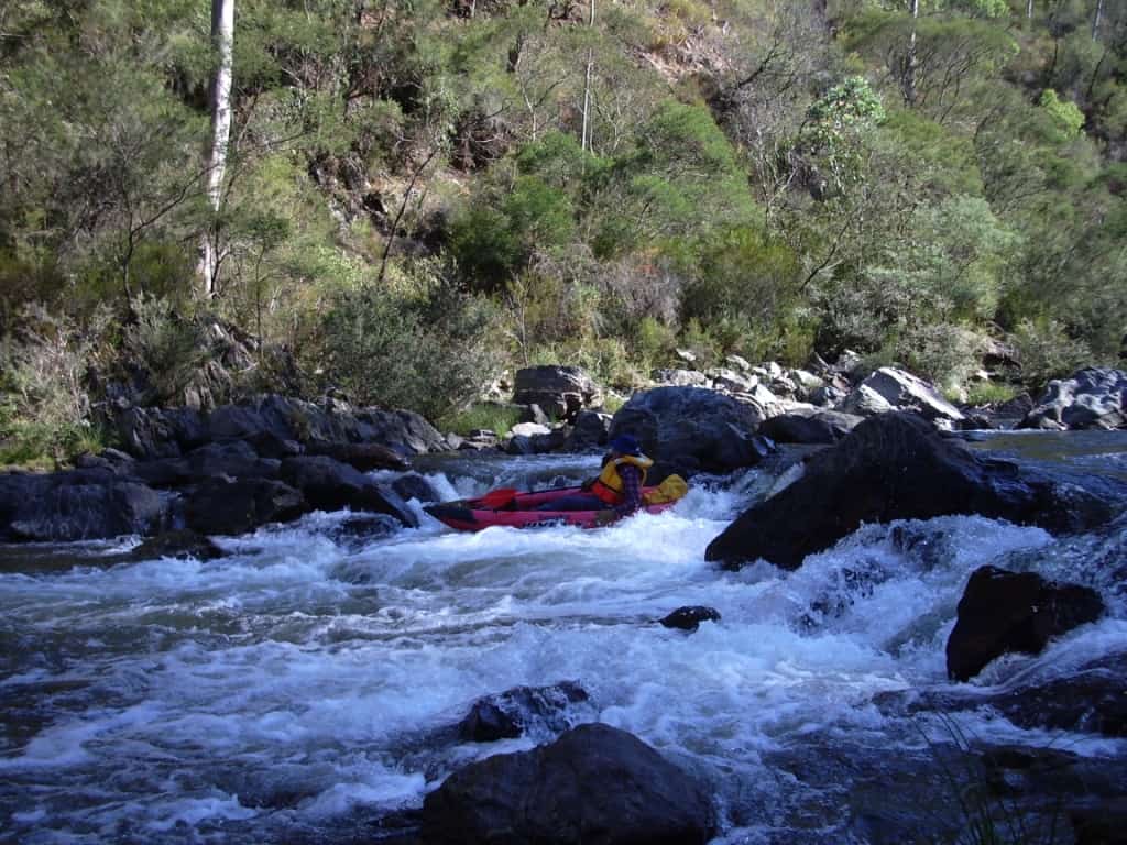 Engagement & NZ 1 016