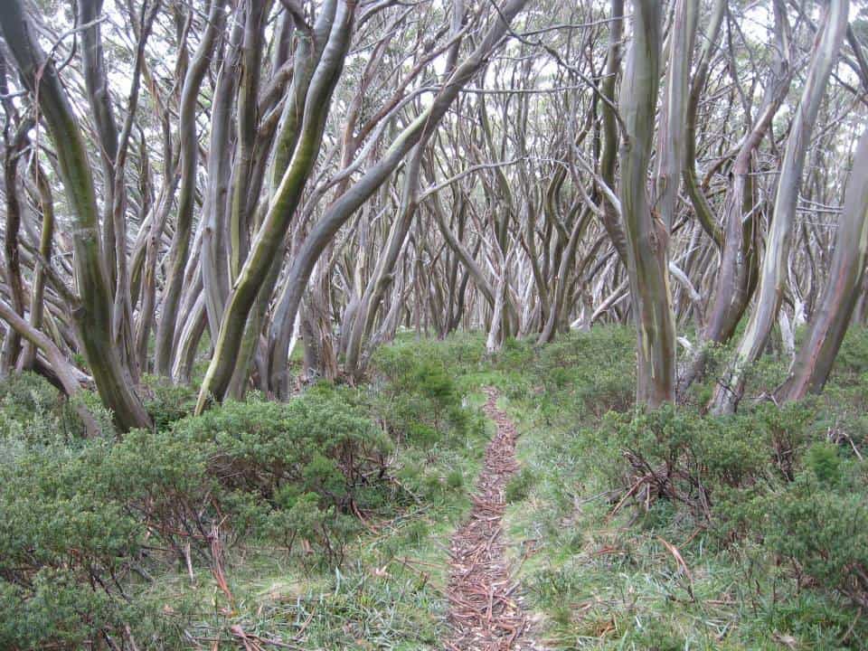 10389248_794340550622394_5278253834488539579_n