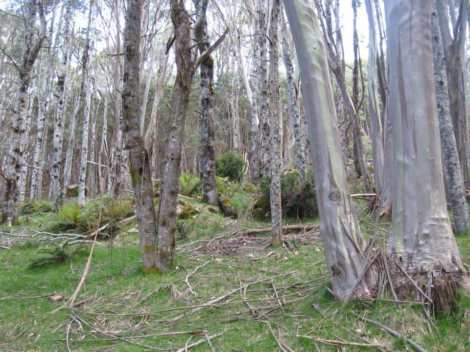 10399440_794342330622216_349851884531286004_n