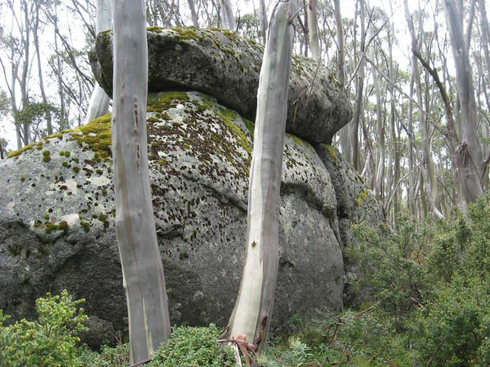 10403693_794340803955702_7360704115160530068_n