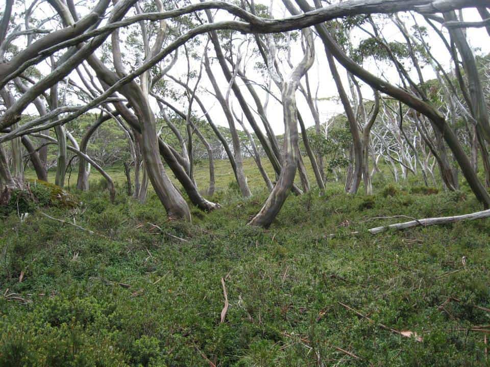 10411146_794340573955725_5626218686621151921_n